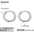 Steel Earrings (F1593) / M