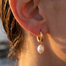 316L Stainless Steel 18K Gold PVD Pearl Round Earrings - Vintage Gold Round Pearl Minimalist Wholesale Stainless Steel Jewelry - Sensitive Skin Friendly - Detail 4