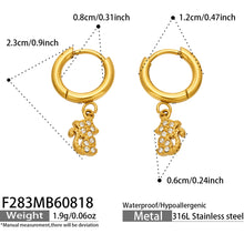Stylish cat zircon earrings in gold finish
