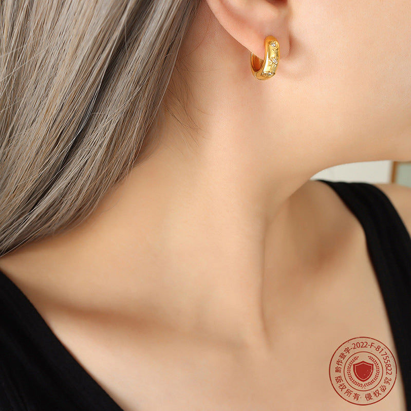 316L Stainless Steel French-inspired Minimalist Design Zircon Studded Vintage Earrings - Image 3