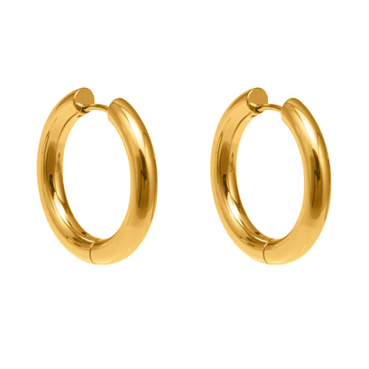 316L Stainless Steel Mixed Metal Hoop Earrings - Image 5