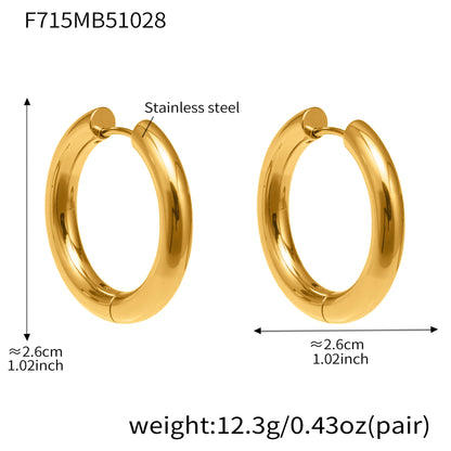 316L Stainless Steel Mixed Metal Hoop Earrings - Image 8