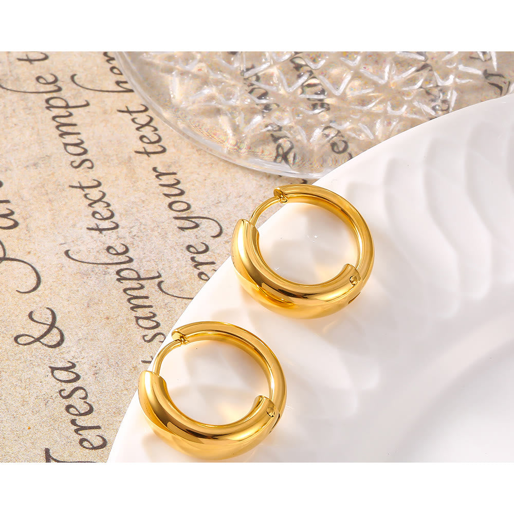 Miduoduo 18K Gold Plated Stainless Steel F105 Geometric Earrings White Background Overview