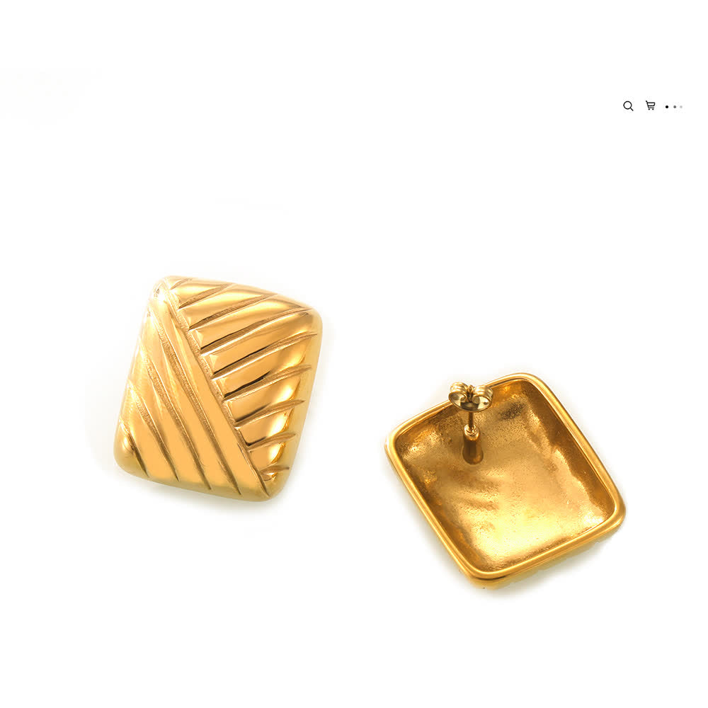 Miduoduo F1439 Earrings - Clean White Background Main View