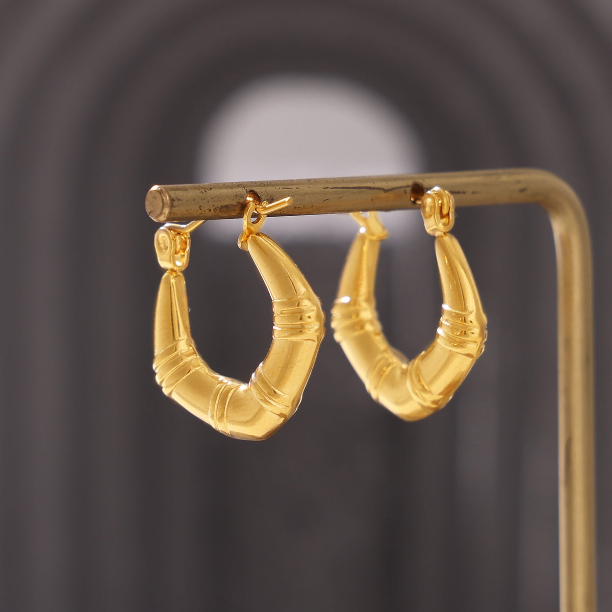 Miduoduo F1540 Earrings - Lifestyle Wearing View 1