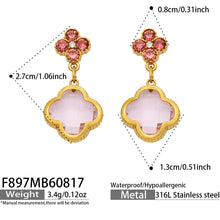 Stainless steel earrings with luxurious finish